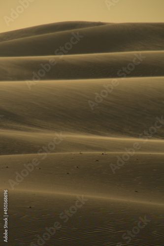 sand dunes in the desert © Federico