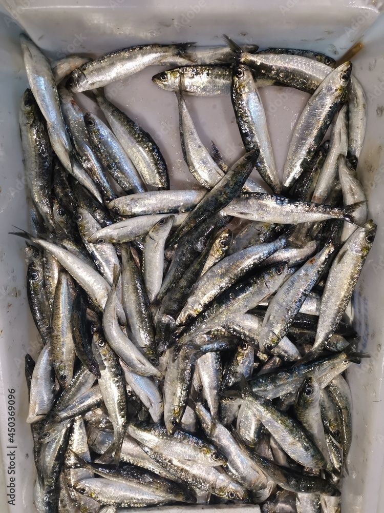 Fish from the freshly caught are almost alive Fish from the freshly caught are almost alive