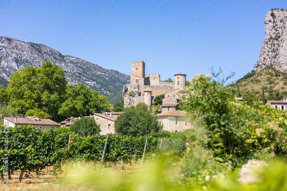 Vue sur le village de Saint-Jean-de-Buèges et son château depuis les vignobles (Occitanie, France)