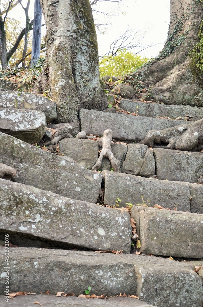 Fototapeta premium 和歌山城 石段を登る小人