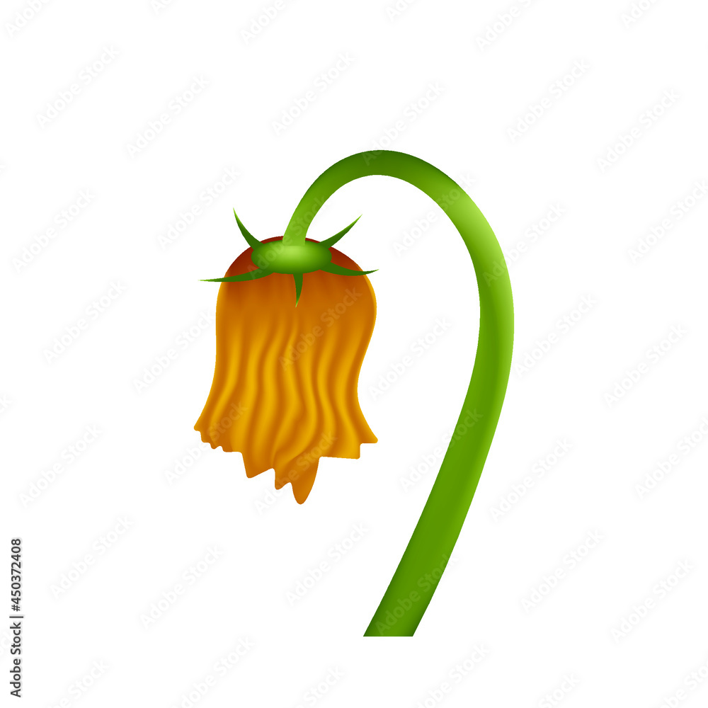 Emoji Flower Meaning Best Flower Site