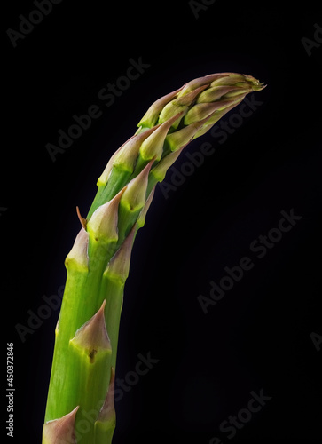 Jiant asparagus isolated on black