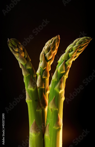Jiant asparagus isolated on black