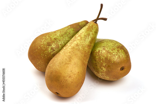 Conference Pears, closeup, isolated on a white background.