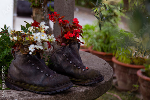 decorations in the garden  unusual pots of shoes for flowers