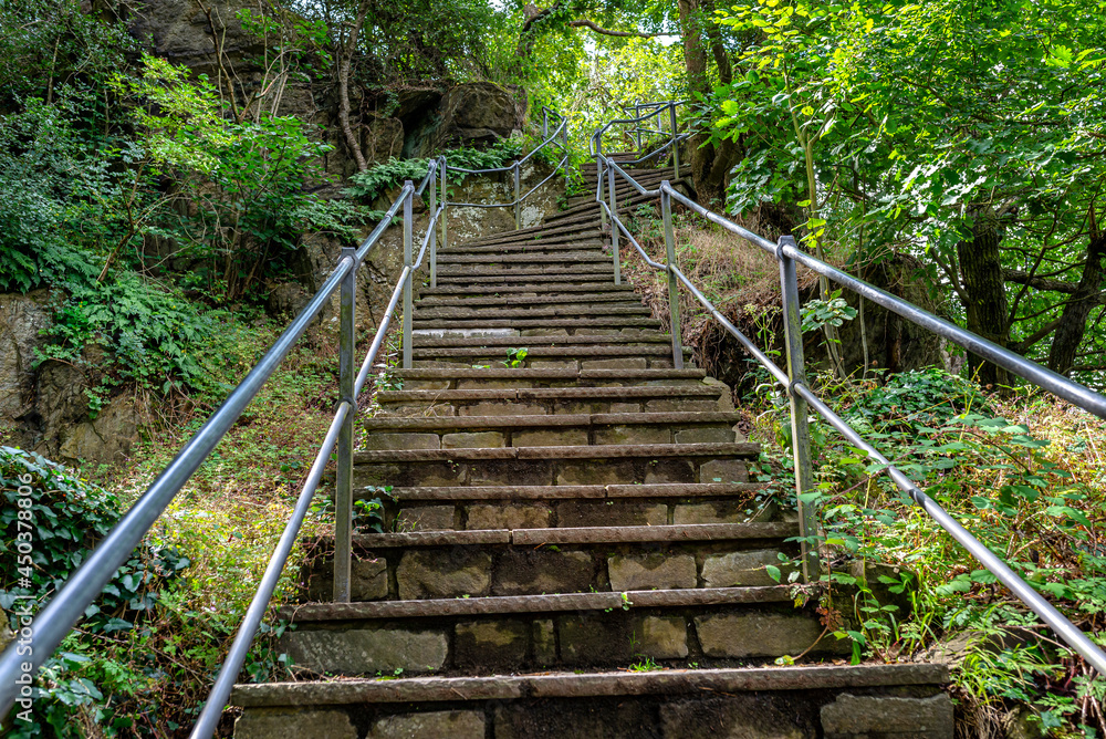 Concrete stairs with steel handrails in a dense forest, going up.
