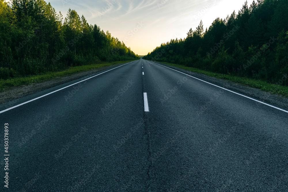 Asphalt Road In Green Forest. Asphalt Road In Green Forest.