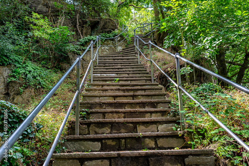 Concrete stairs with steel handrails in a dense forest  going up.