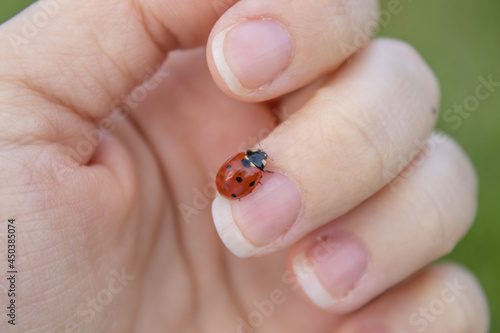 A ladybug is walking on a woman's middle finger. The concept: the nature in harmony with people. Blurry green background.