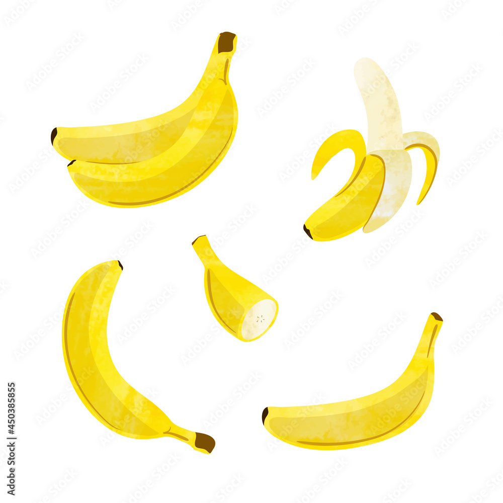 Banana set. Vector watercolor illustration of single, peeled fruit and bunch of bananas isolated on white background
