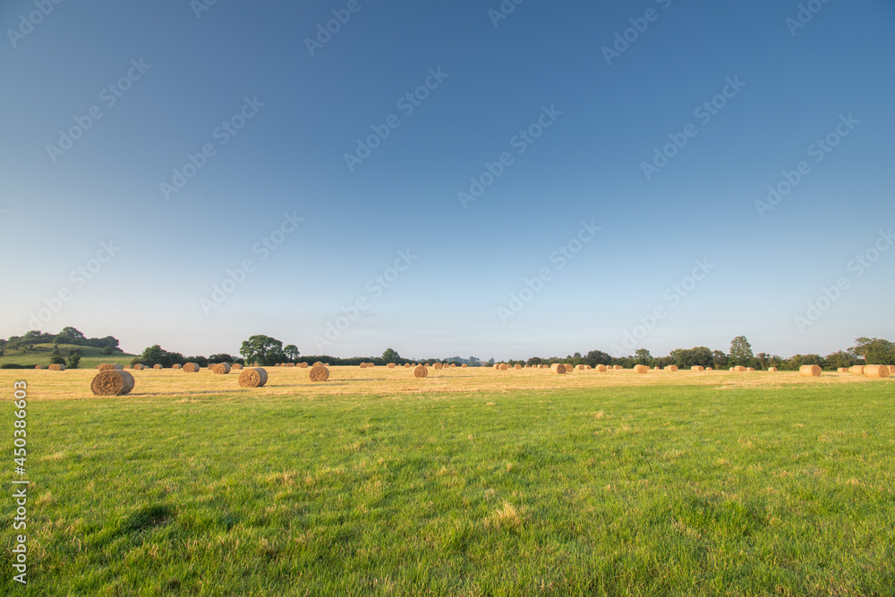 Fototapeta premium Straw bales on agricultural field with patch of grass at the front.