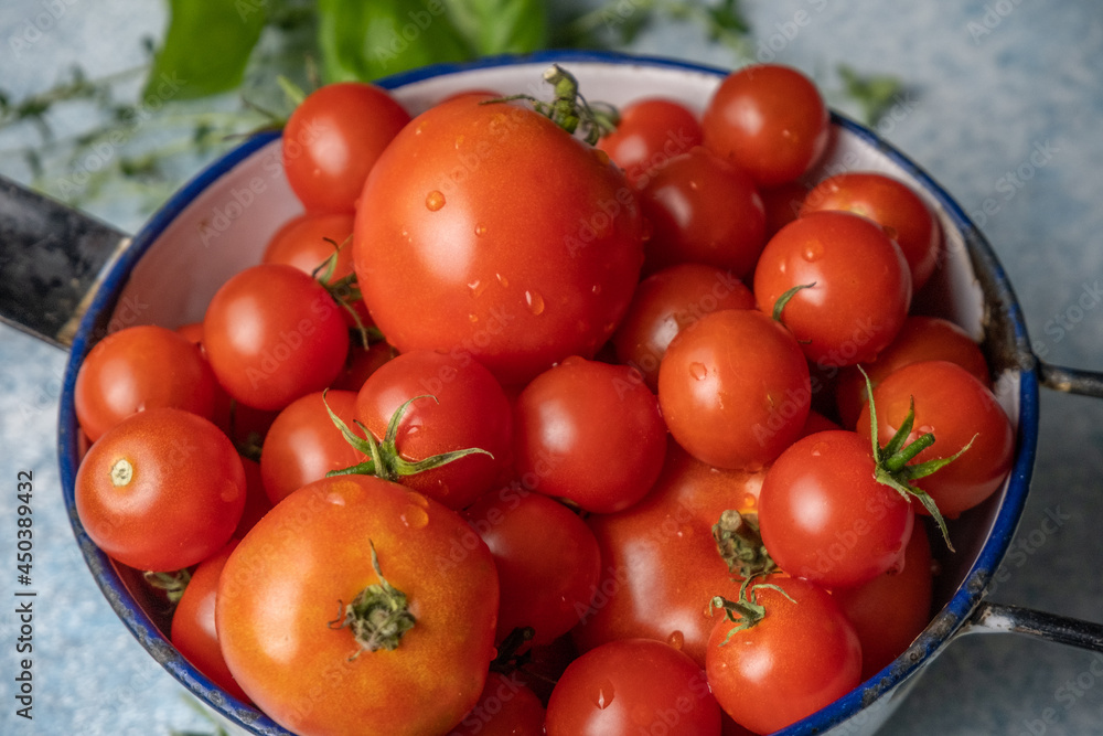 Fresh picked tomatoes from garden in bowl with herbs Fresh picked tomatoes from garden in bowl with herbs