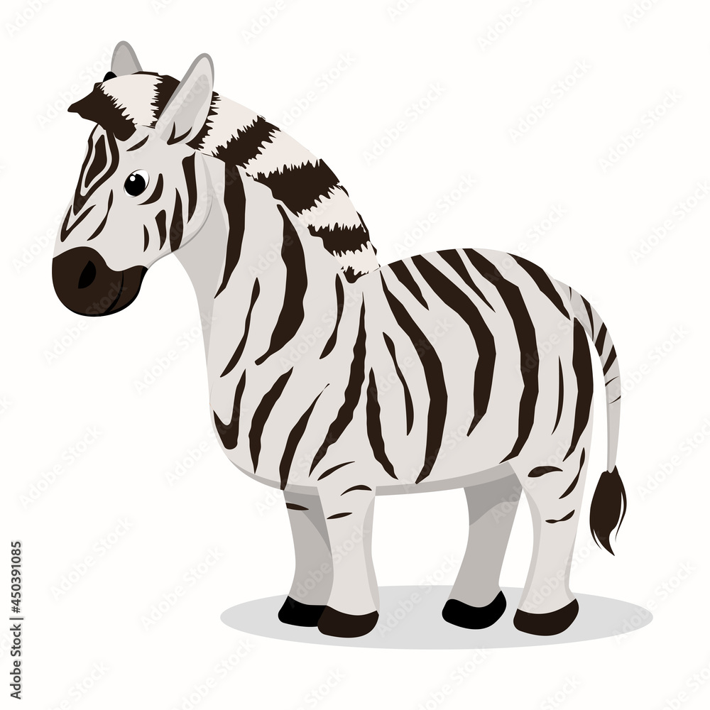 vector illustration of a zebra isolated on a white background vector illustration of a zebra isolated on a white background