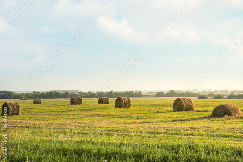 Hay bales in the sunset. Countryside natural landscape with hay bail harvesting in golden field landscape. Rural scene agriculture field with sky. Hay roll on meadow against sunset background