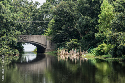 Tranquil City Park scene with bridge, egret, trees and reflections