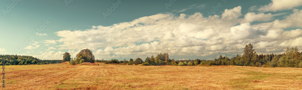 Field and forest on the horizon extra large toned panoramic landscape Field and forest on the horizon extra large toned panoramic landscape