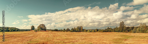 Field and forest on the horizon extra large toned panoramic landscape