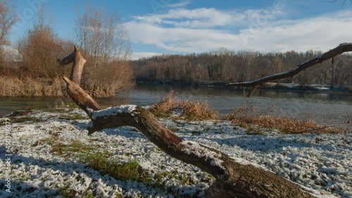 Timelapse of snow melting on a brantch on a winter mornining with Ticino river in the background photo