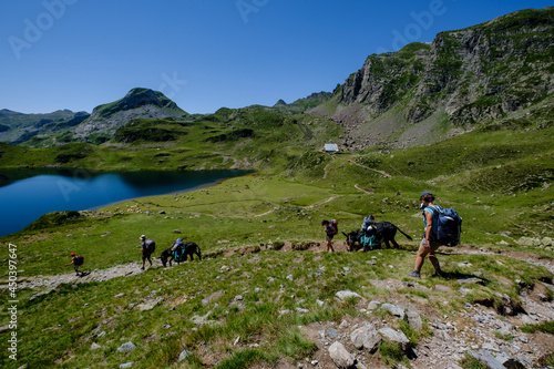 hiker on Lac Gentau, Ayous lakes tour, Pyrenees National Park, Pyrenees Atlantiques, France