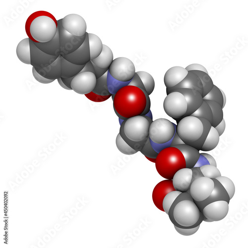 Leu-enkephalin endogenous opioid peptide molecule. 3D rendering. photo