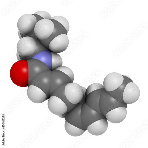 Spilanthol molecule. Local anesthetic present in Acmella oleracea (toothache plant). 3D rendering. photo