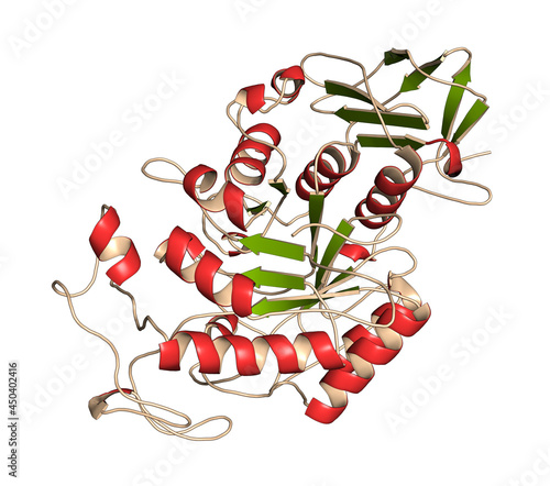 Amylase (human pancreatic alpha-amylase) Protein. 3D Illustration. photo