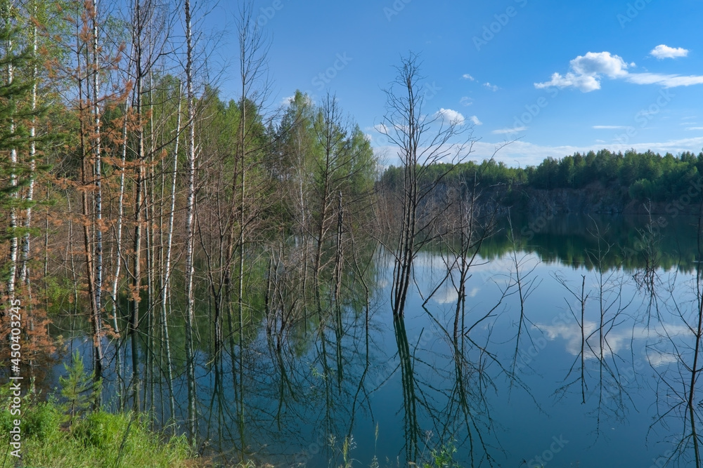 Picturesque summer landscape by the forest lake.