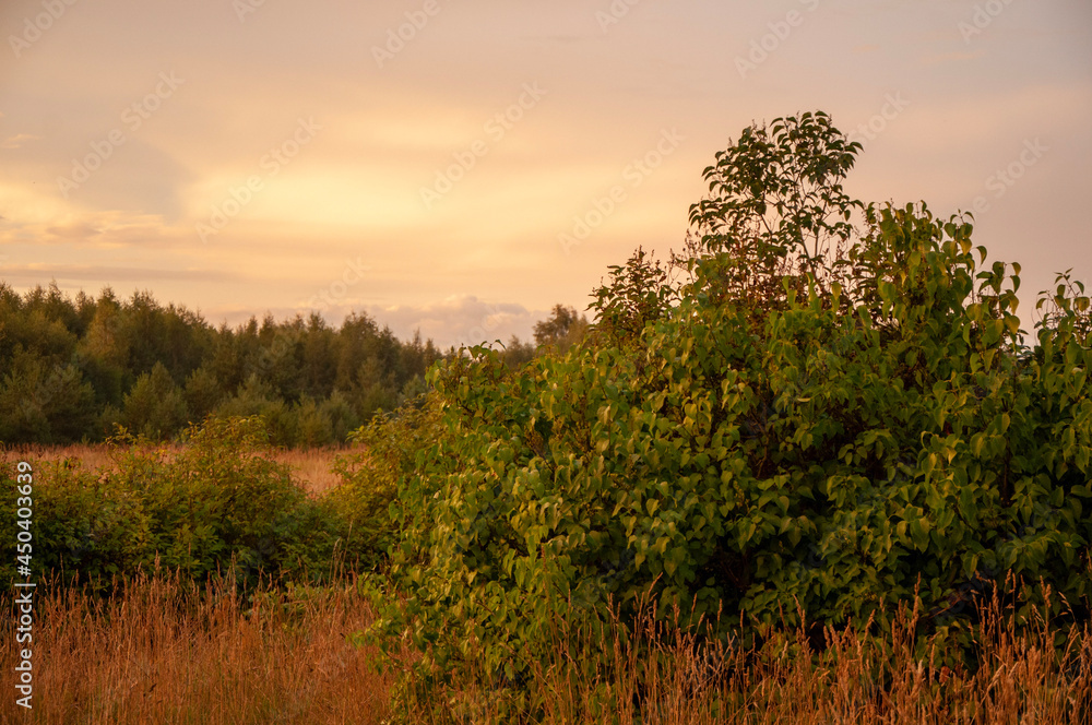 Fototapeta premium sunset in the mountains