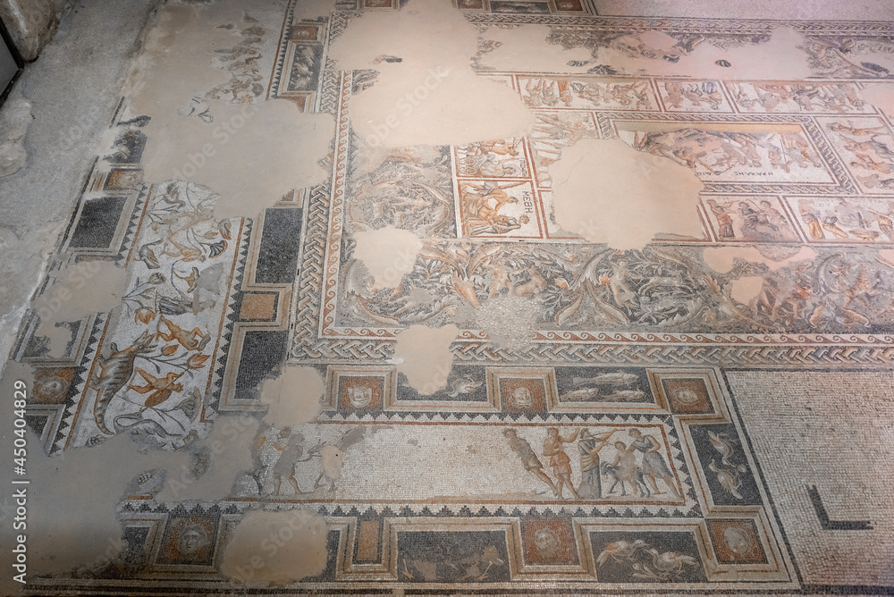 Naklejka premium The Dionysus House mosaic floor at Tzipori National Park in Israel. 