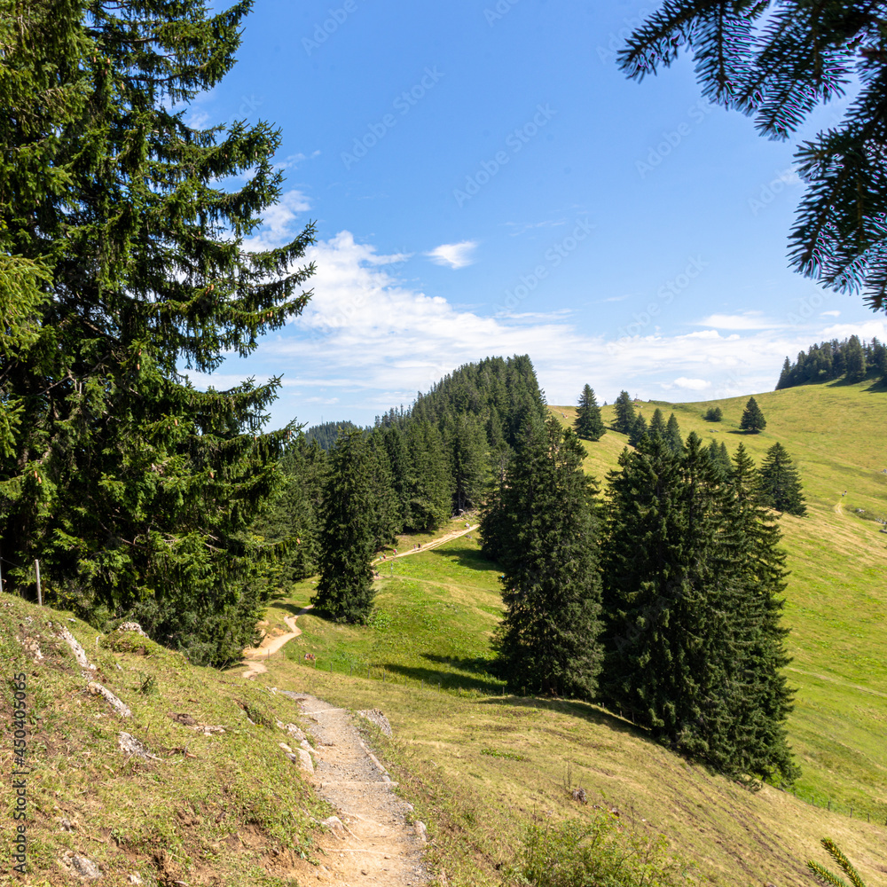Ein Wanderweg in der Nagelflukette der Alpen Ein Wanderweg in der Nagelflukette der Alpen