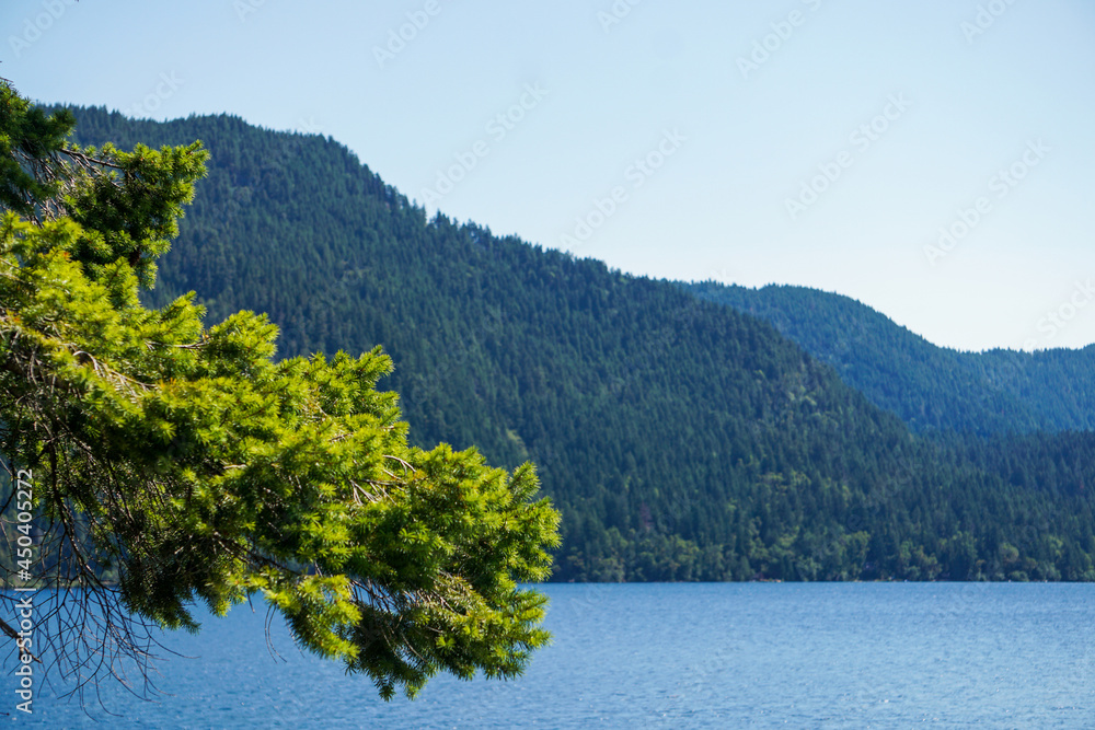 Washington Lake Beauty