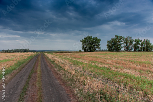 Mown wheat field against dramatic sky background  rural landscape