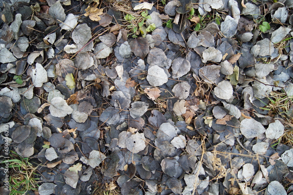 pebbles on the beach pebbles on the beach