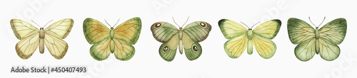 Watercolor green butterfly set. Hand drawn summer illustration for greeting card, invitation, wall art, stickers and other.