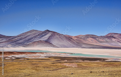 Stunning landscape at the Salar Aguas Calientes, Atacama Desert, Chile