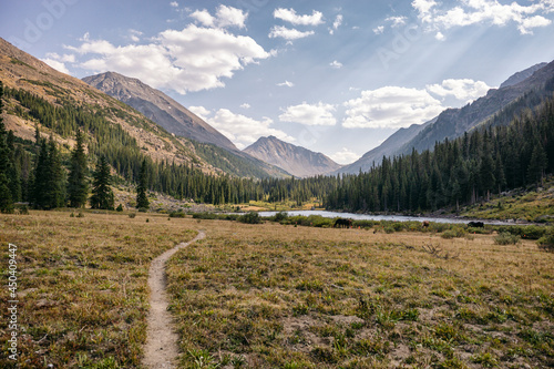Hiking Trail in the Colorado Wilderness