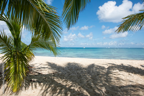 Fototapeta Naklejka Na Ścianę i Meble -  Deserted tropical beach island of Cozumel