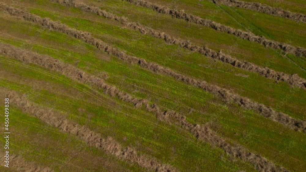 Flythrough under the green field with hay bales Flythrough under the green field with hay bales