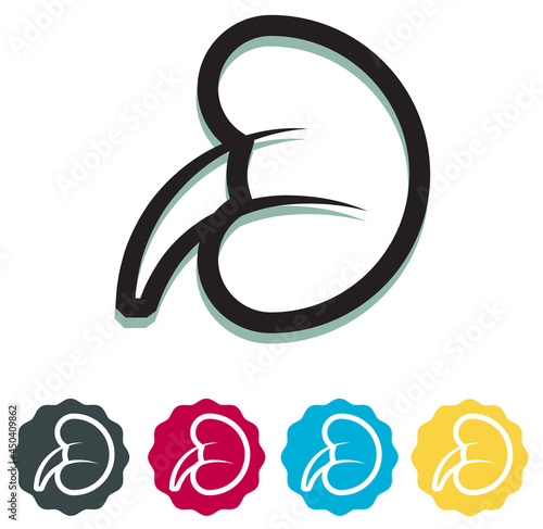 Kidney Icon