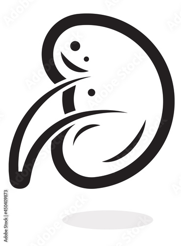 Kidney Transplant
