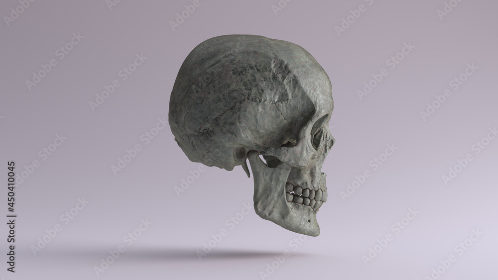Old Bronze Human Female Skull with Jaw Medical Anatomical Oxidised Patina Right Side 3d illustration render Old Bronze Human Female Skull with Jaw Medical Anatomical Oxidised Patina Right Side 3d illustration render