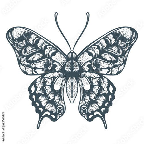 Hand drawn butterfly illustration Premium Vector

