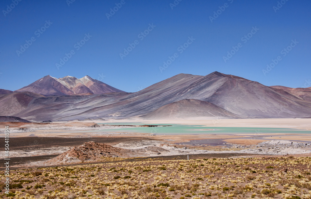 Stunning landscape at the Salar Aguas Calientes, Atacama Desert, Chile