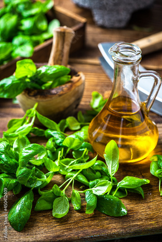 Fresh Basil Herb and Olive Oil on Wooden Kitchen Table