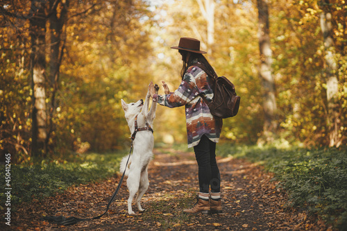 Stylish woman in hat with backpack training cute dog in sunny autumn woods. Teamwork. Young female hipster giving five to swiss shepherd white dog. Travel and hiking with pet. © sonyachny