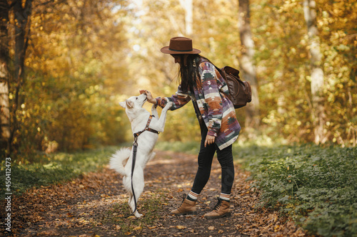 Stylish woman in hat with backpack training cute dog in sunny autumn woods. Teamwork. Young female hipster giving five to swiss shepherd white dog. Travel and hiking with pet. © sonyachny