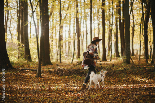 Stylish woman in hat and with backpack walking with cute dog in sunny autumn woods. Young female traveler hiking with swiss shepherd white dog in forest. Travel with pet