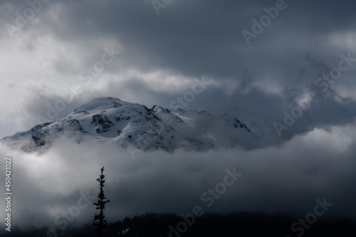 Mood of the Mountains