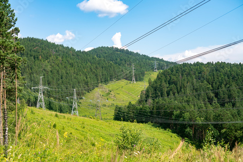Electric transmission lines in the middle of a dense forest.
