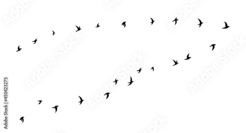 Black flying birds flock silhouette. Flat vector illustration isolated on white